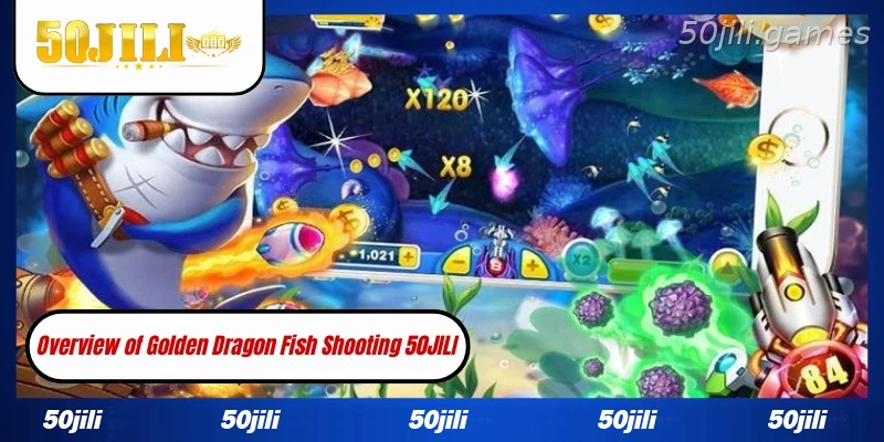 Overview of Golden Dragon Fish Shooting 50JILI