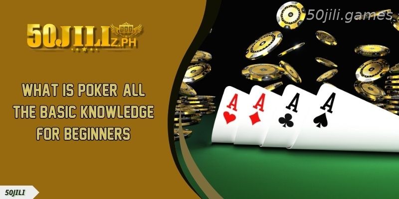 What is Poker All the Basic Knowledge for Beginners